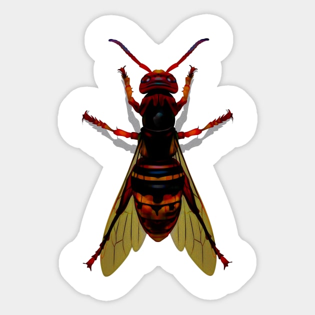 Hornet Two Sticker by crunchysqueak